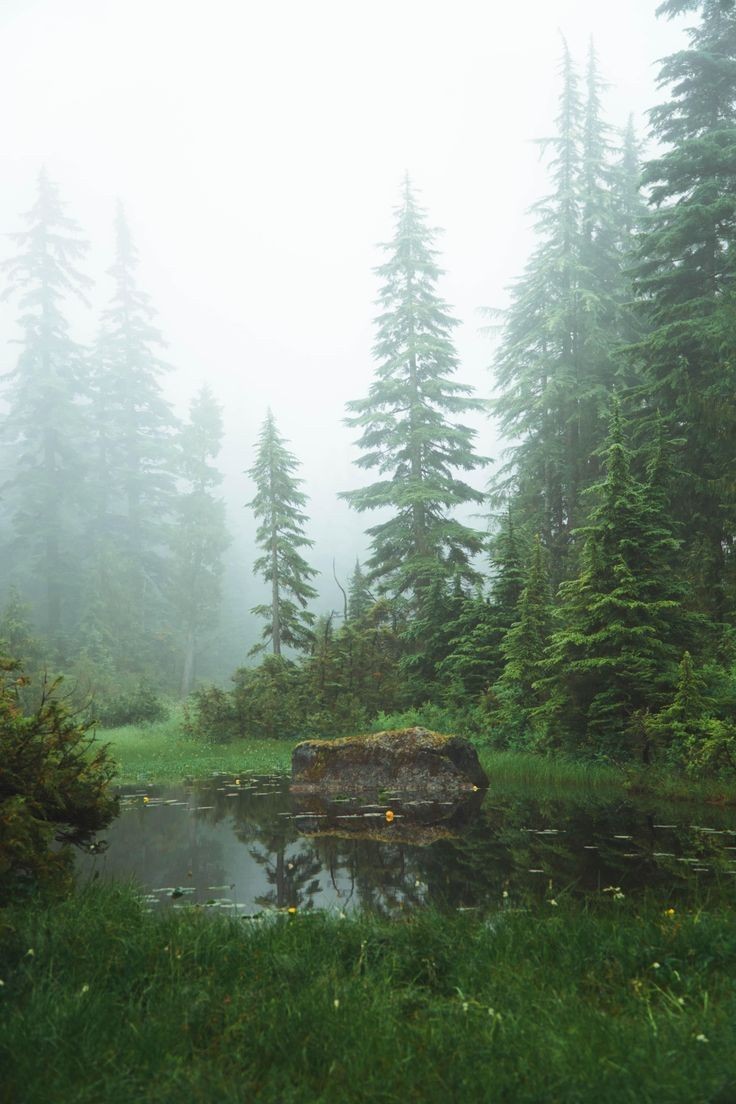 𝘢𝘦𝘴𝘵𝘩𝘦𝘵𝘪𝘤 𝘷𝘪𝘴𝘶𝘢𝘭𝘴 •°. *࿐ (@aestheticwabi) on Twitter photo 