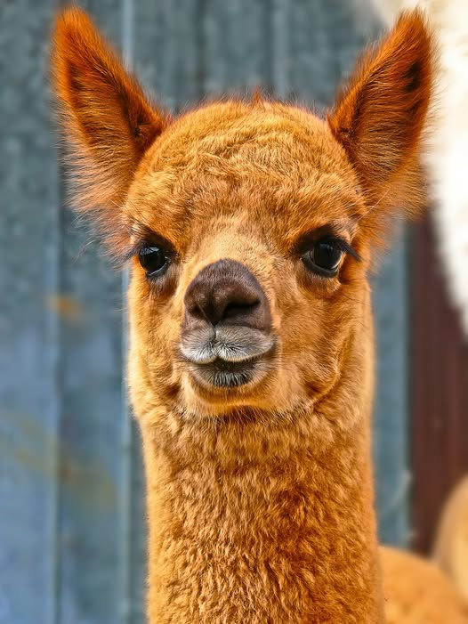 Wir wünschen euch einen fantastischen Abend. ☺