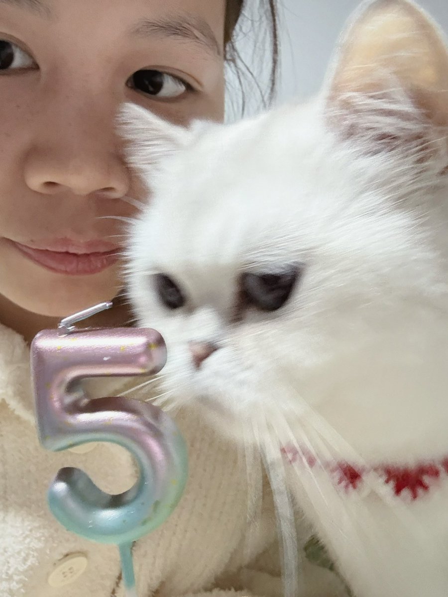 ZZ_1197's tweet photo. Happy birthday to my baby!
#cat https://t.co/chzmpysEOs