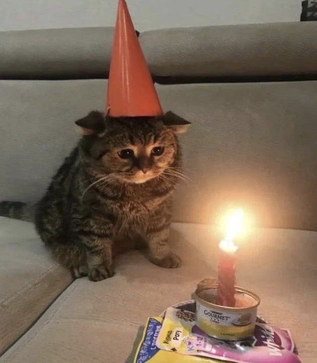 18 feeling old🎉👴