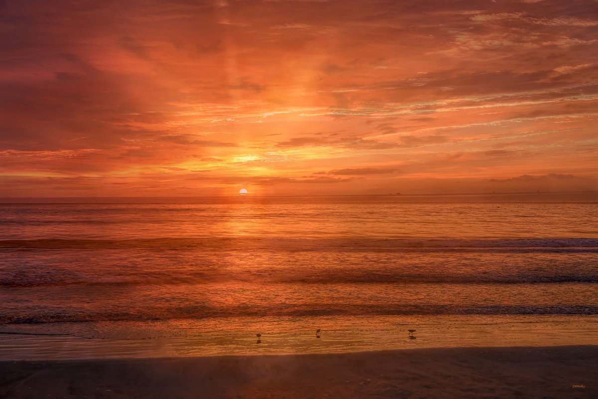 Gold and copper hues herald the beginning of a new day in this photographic artwork. The piece is developed from an image I took at Ormond Beach, Florida. #sunrise #beach #florida

pixels.com/featured/golde…