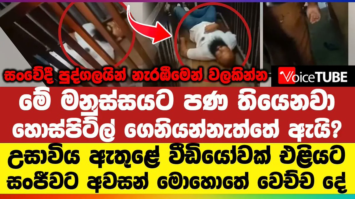 VoiceTubelk's tweet photo. මේ මනුස්සයට පණ තියෙනවා - උසාවිය ඇතුළේ වීඩියෝවක් එළියට - සංජීවට අවසන් මොහොතේ වෙච්ච දේ  https://t.co/eUanQ9wFZM #ganemullasanjeewa #policeinvestigation #aluthkade #LKA #VoiceTube #SriLanka #Politics https://t.co/fa2Q86flno