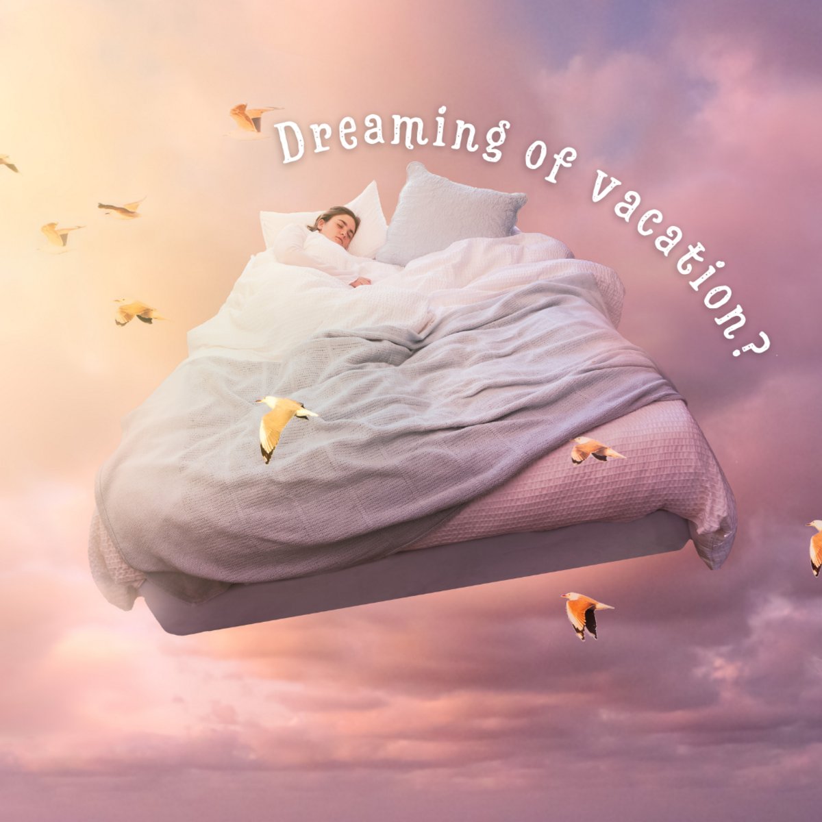 Timberlakemotel's tweet photo. Don't leave it up to your imagination and wake up to the vacation you've been longing for. Book with Timberlake Motel for a real "suite" dream! 😉

#Vacation #Travel https://t.co/EEcmTvLyUG