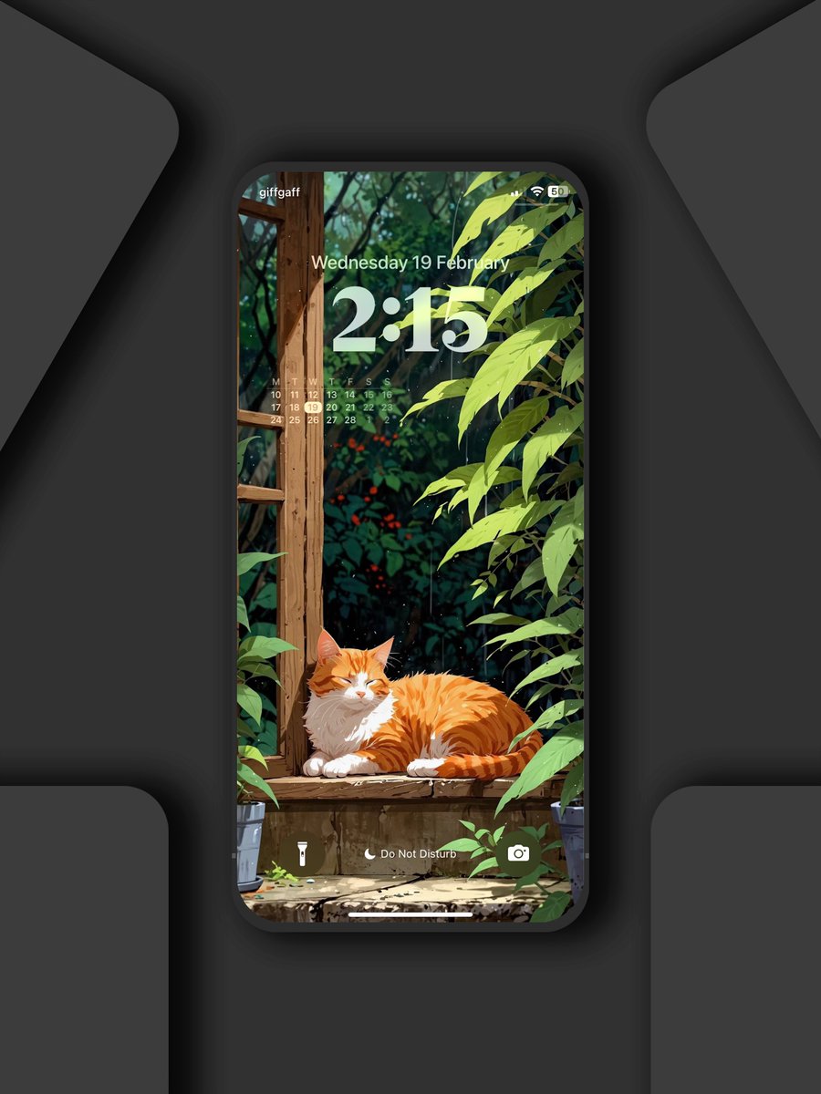 aestheticsguyy's tweet photo. New wallpaper 🐈 https://t.co/bHoJwrAbLy