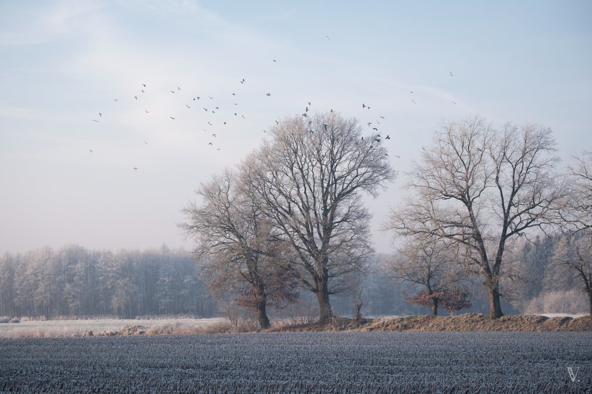 A painterly Winter's day