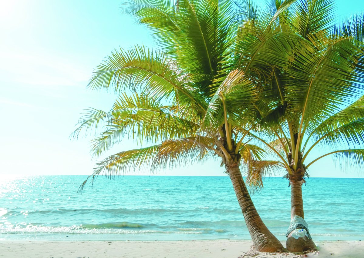 Go_Sustainably's tweet image. Small business owners across the UK are facing a harsh reality – many are too overworked and financially stretched to take a much-needed holiday, potentially pushing themselves to the brink of burnout. 🧵👇