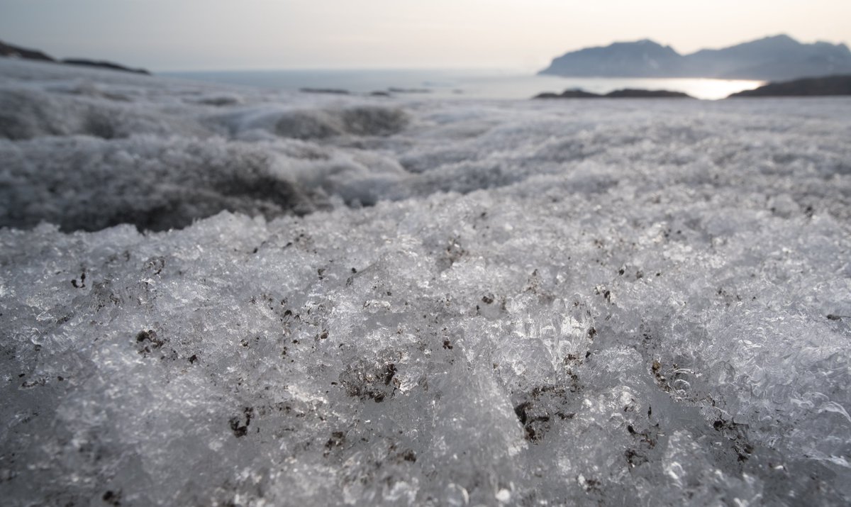 Max Planck Institute for Marine Microbiology (@marinemicrobio) on Twitter photo Tough guys: A new study <a href="/NatureComms/">Nature Communications</a> shows that ice #algae grow extremely efficiently, despite having hardly any #nutrients at hand. They can thus accelerate #glacier #melting, highly relevant for our #climate.
mpi-bremen.de/en/Resilient-a…
nature.com/articles/s4146…
<a href="/AarhusUni/">Aarhus Universitet</a> Tough guys: A new study <a href="/NatureComms/">Nature Communications</a> shows that ice #algae grow extremely efficiently, despite having hardly any #nutrients at hand. They can thus accelerate #glacier #melting, highly relevant for our #climate.
mpi-bremen.de/en/Resilient-a…
nature.com/articles/s4146…
<a href="/AarhusUni/">Aarhus Universitet</a>