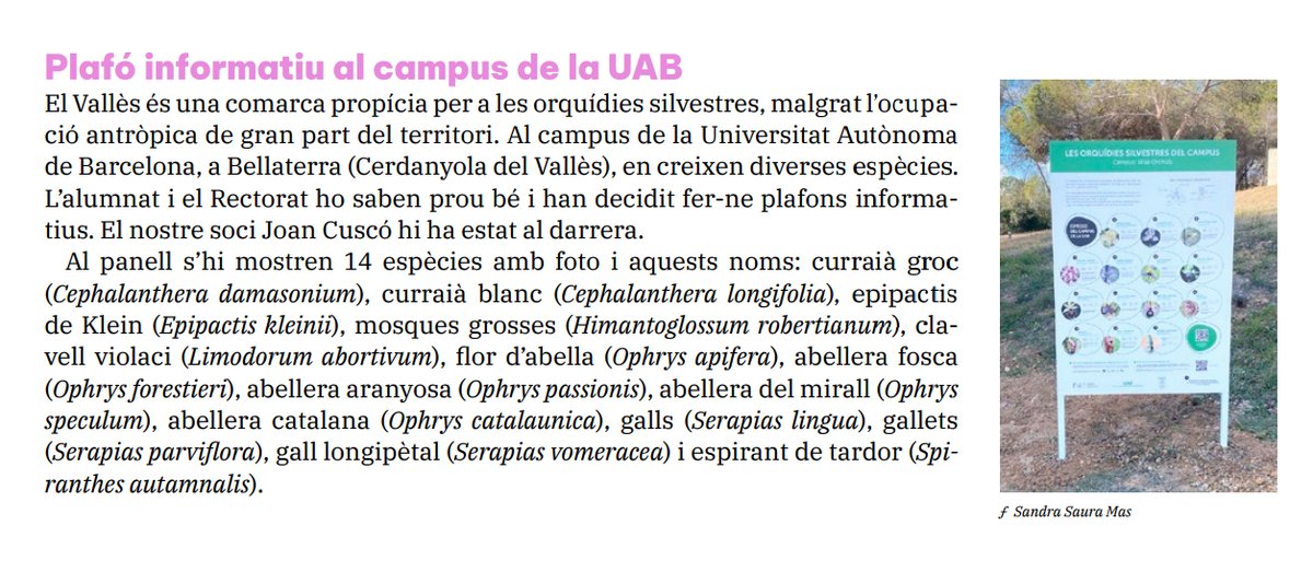 🪻Si t'apassionen les #orquídies, estàs de sort!

Acaba de sortir el nou "Butlletí del Grup Orquidològic de Catalunya" que inclou, a més, informació sobre les orquídies salvatges que es poden veure al #campusUAB.

🔗bibcercador.uab.cat/permalink/34CS…

#GOC <a href="/ICHN_IEC/">Institució Catalana d'Història Natural (ICHN)</a> <a href="/uabbiociencies/">Facultat de Biociències UAB</a>