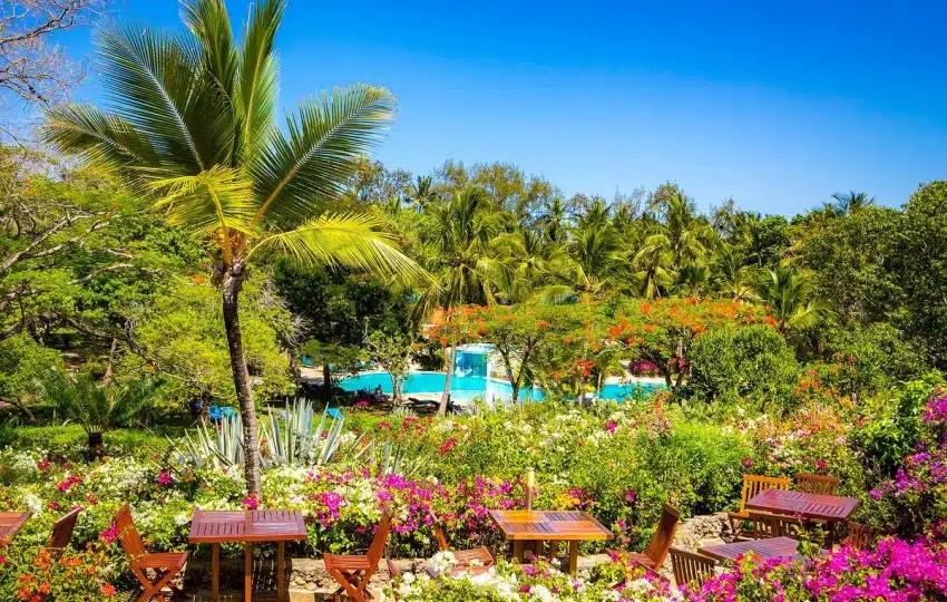 Prudential_KE's tweet photo. Diani Sea Resort is set on the most beautiful unspoiled crystal white sandy beaches on the south coast of Kenya, the expansive compound is shaded by coconut palms and a myriad of exotic trees and flowers. Our all-inclusive Diani Beach resort offers the ultimate tropical paradise. https://t.co/j4p8QWd6aI