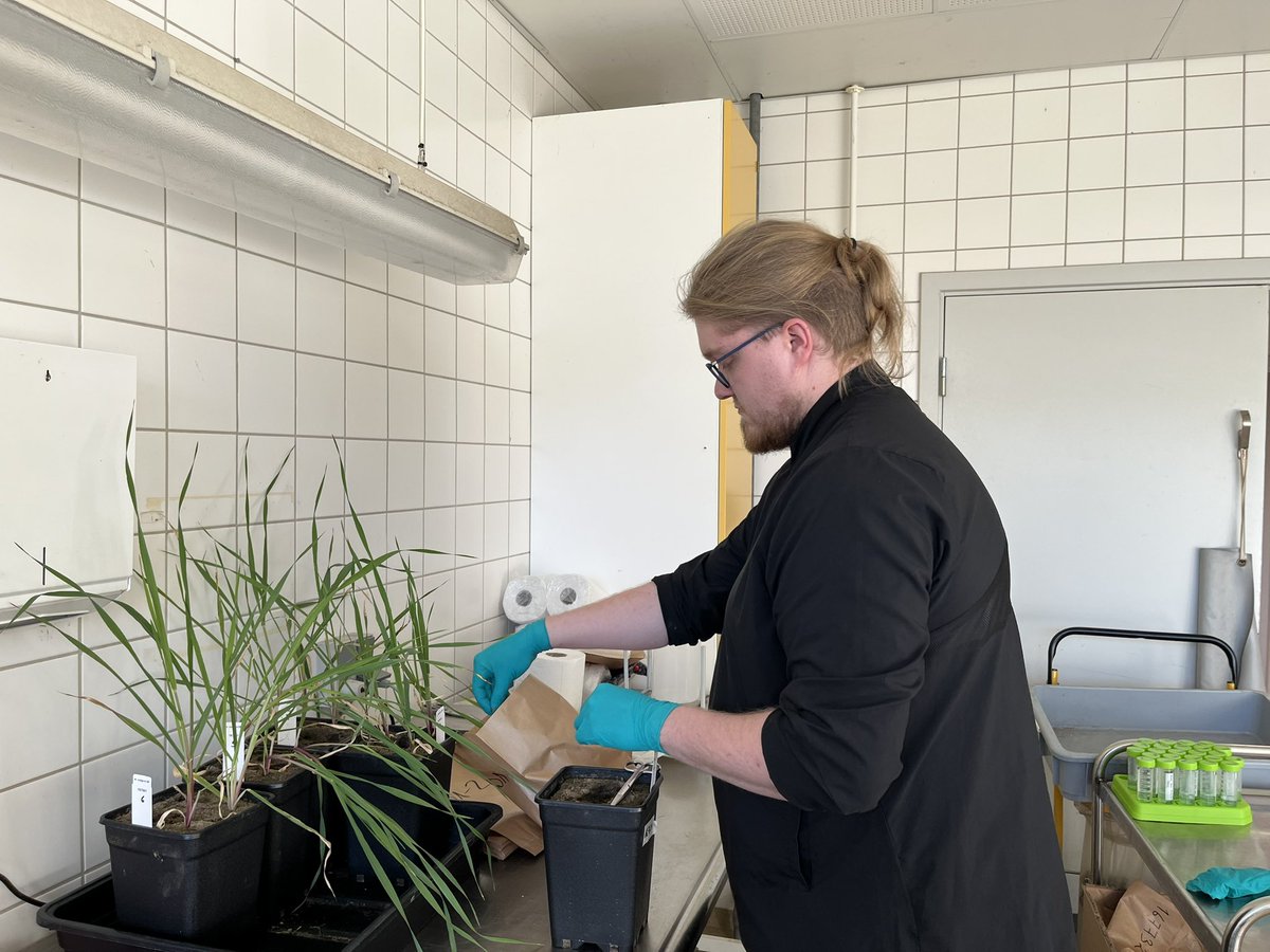 BarleyMicroBreed tweet media