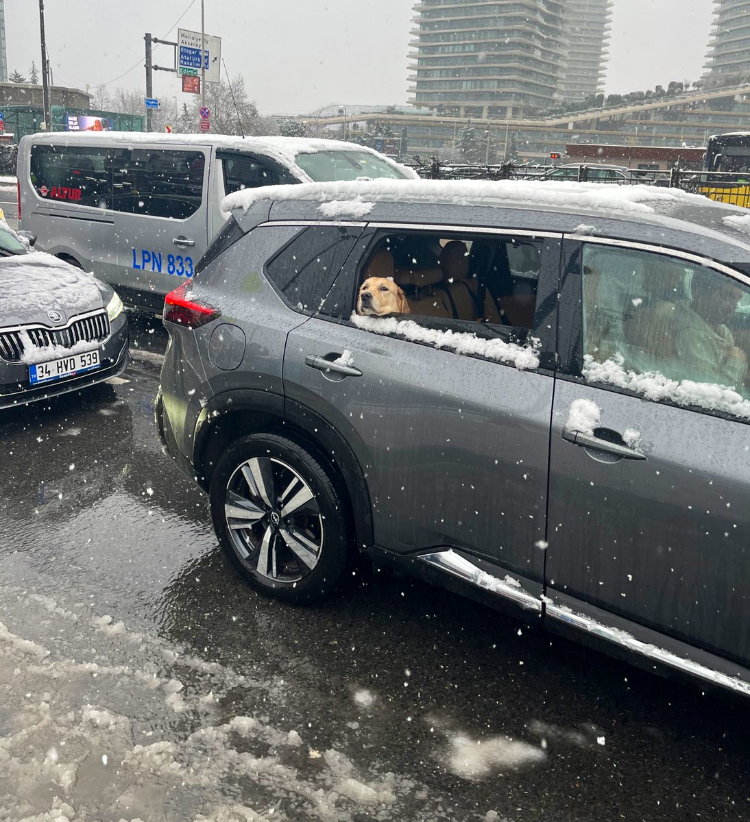 irem (@iremelek) on Twitter photo 