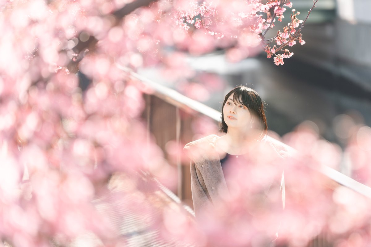 sayahiyama_1027's tweet photo. #ファインダー越しの私の世界 https://t.co/goGsuiexhO
