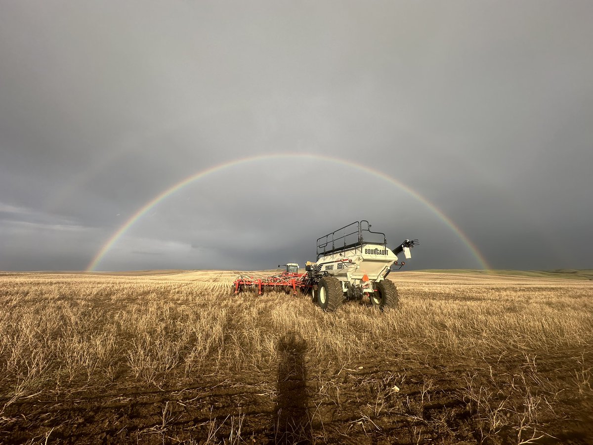 wheatking10's tweet photo. @kowalchukfarms1 https://t.co/fxUXYHNMAz