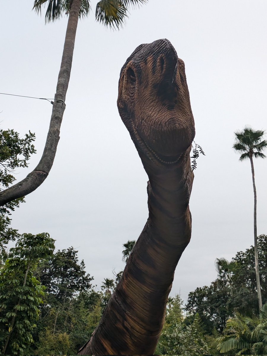 DollyDives's tweet photo. Got any games on your phone?
#UniversalOrlando #UniversalORL
#jurassicpark https://t.co/etEJxSiTL7