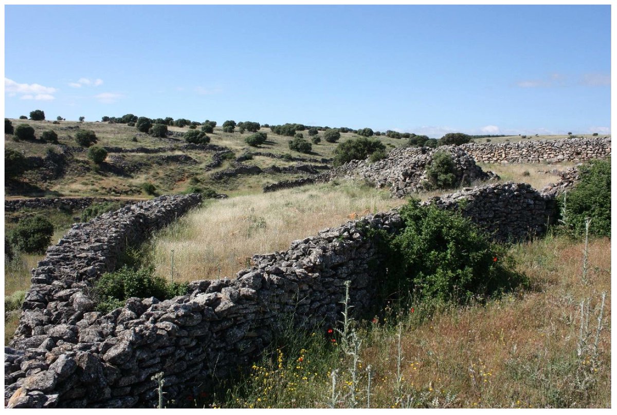 This work presents convincing #archaeological evidence of Andalusi livestock #farming as early as the 11th century, linked to rural communities where sheep herding for wool production was the primary activity.
👉📖 brnw.ch/21wQO8t