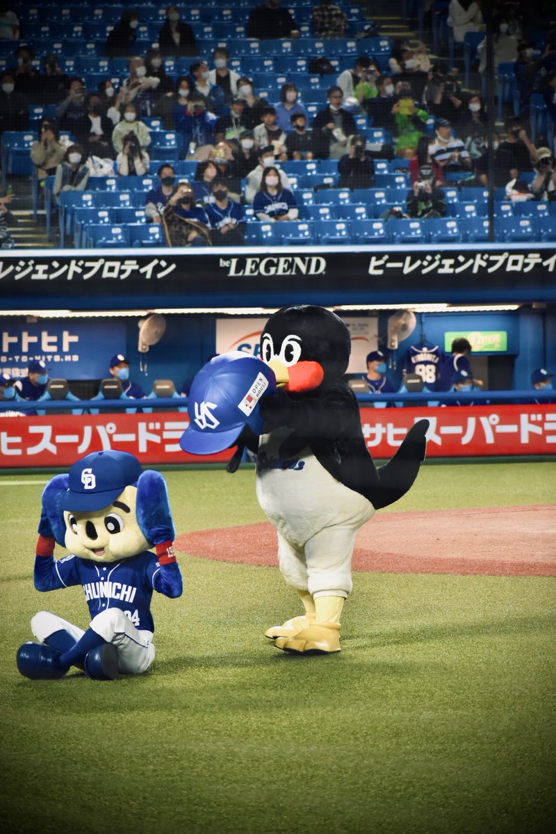 mimipachi66's tweet photo. いつも面白くて最高だったよ
ありがとうつば九郎

えみふるなのはわかってるけど
寂しいな

↓4年前に初めて神宮に行った時

#swallows 
#つば九郎 https://t.co/euDiis6IO0