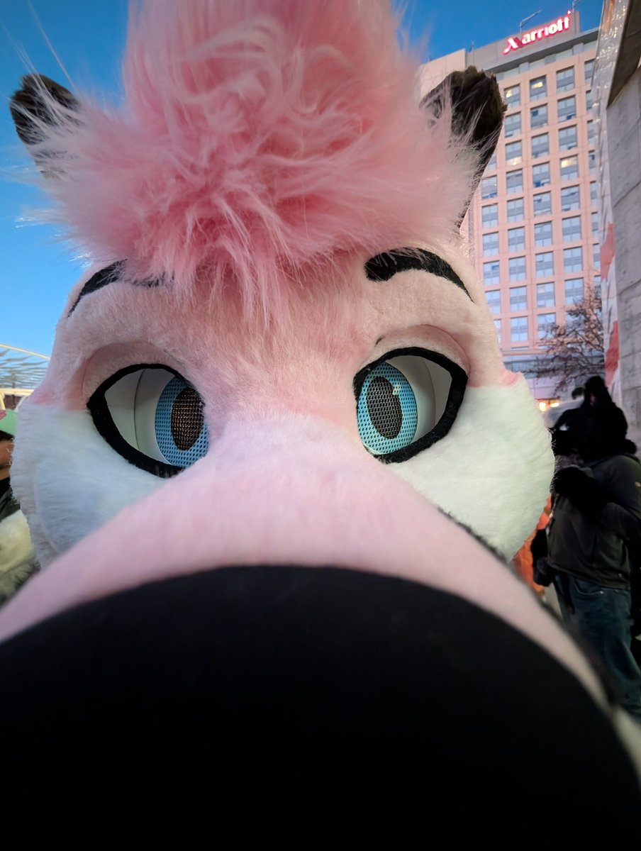 Henlo! Got any treats on your phone? 🦊🩷

#furry #fursuit #fursuiting #fursuiteveryday #fox