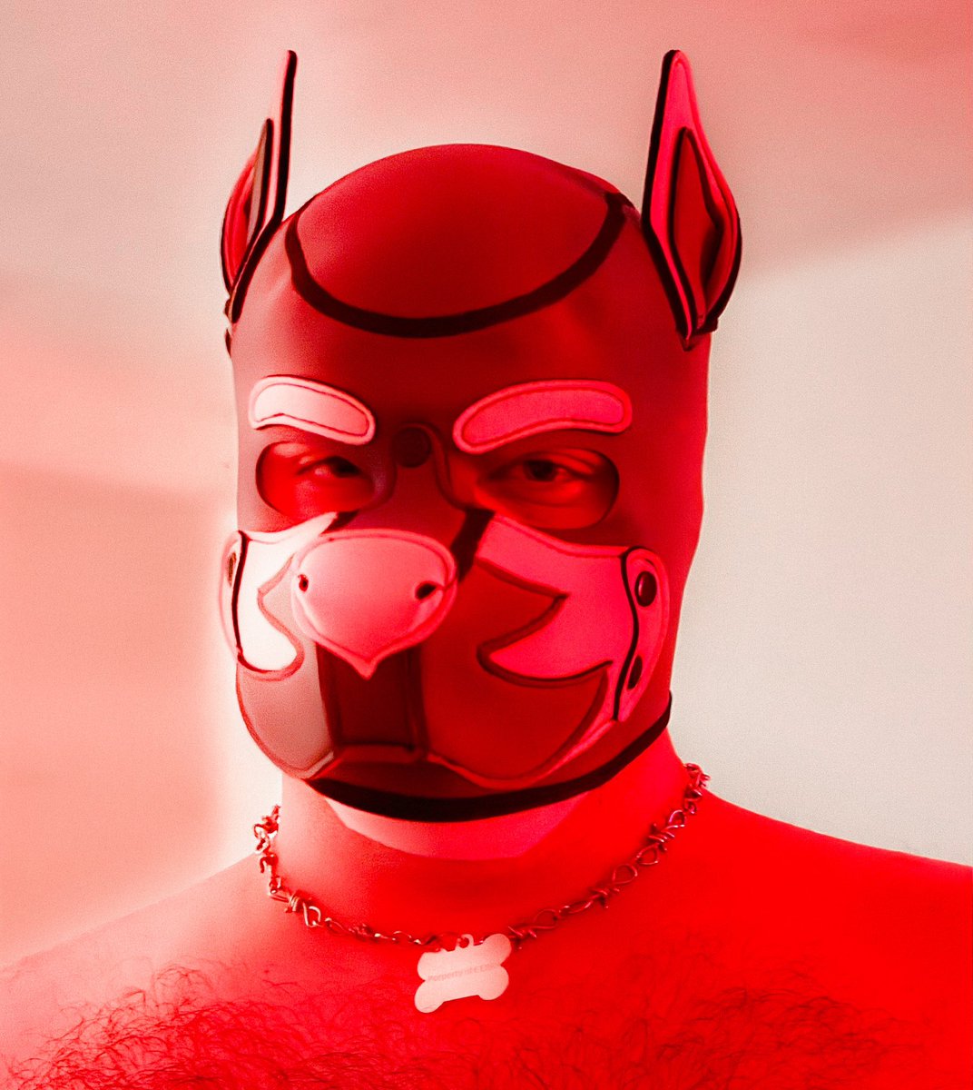 The light turning red, you know what to do know ! 

📸 by <a href="/HornyCerf/">Horny Cerf</a>