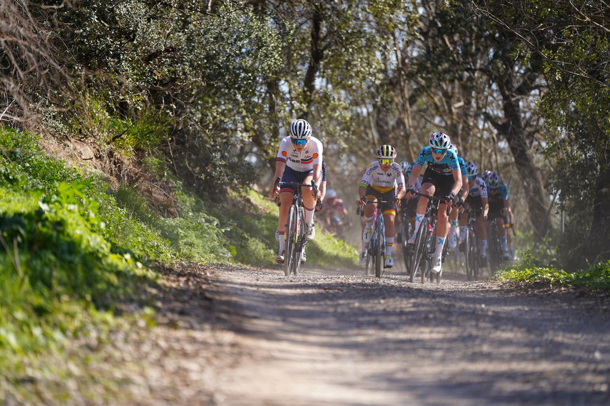 💚 ¡Disfruta de la BATALLA entre olivos que se pudo vivir en la 1ª edición de la #ClásicaJaén Copa de las Naciones!

▶️ <a href="/rtveplay/">RTVE Play</a>: play.rtve.es/v/16456821 
📺 A las 18:40 la podéis ver en <a href="/teledeporte/">Teledeporte</a>.