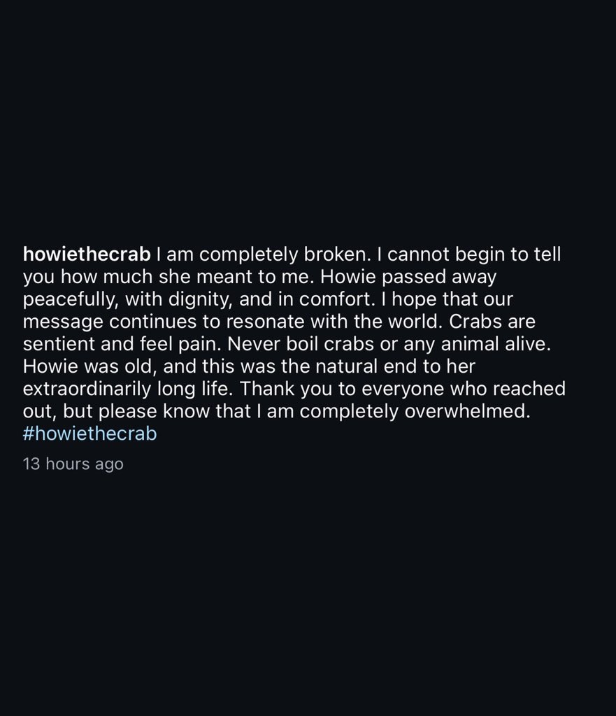 Howie, known as “the most loved crab on earth”, has died