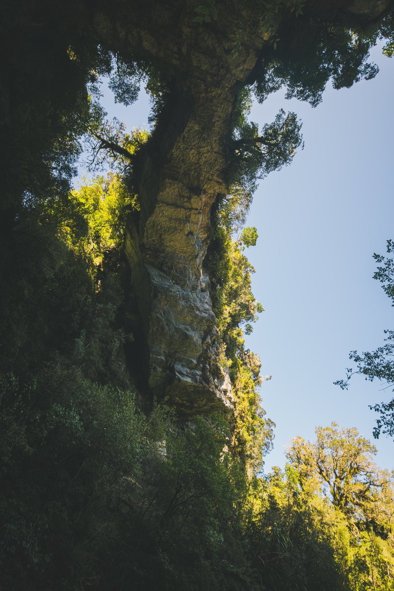 EternalMeteor's tweet photo. “Through the arch of time, into the heart of the wild. Oparara Arch, a gateway to nature’s masterpiece. 🏕️🌿 

Oparara Arch, New Zealand
#NewZealand 
#AdventureAwaits 
 #PureNewZealand #NZMustDo #ScenicViews #NaturalArch  #ExploreNZ #IntoTheWild  #NewZealandAdventures #HikingNZ https://t.co/GiMHtm9wfg