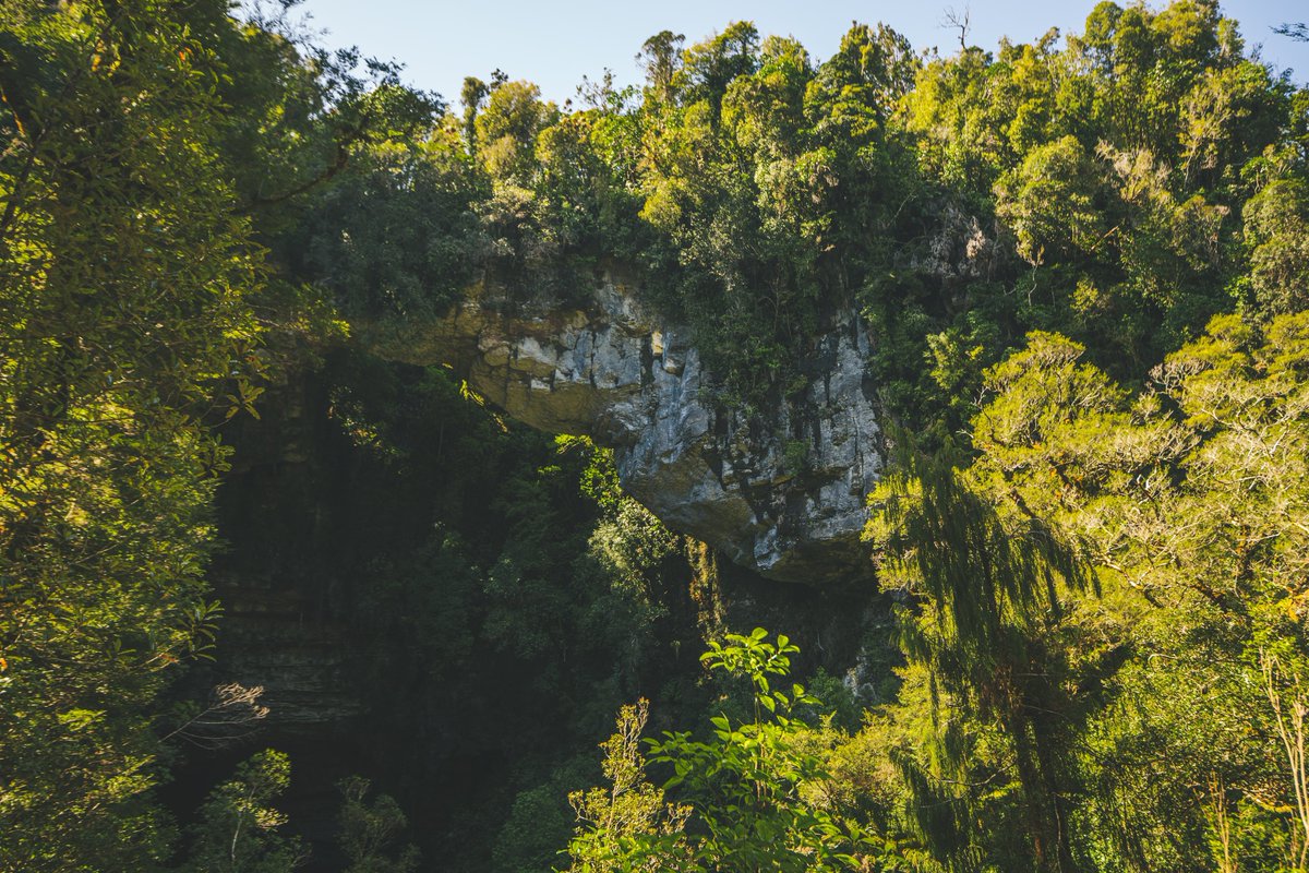 EternalMeteor's tweet photo. “Through the arch of time, into the heart of the wild. Oparara Arch, a gateway to nature’s masterpiece. 🏕️🌿 

Oparara Arch, New Zealand
#NewZealand 
#AdventureAwaits 
 #PureNewZealand #NZMustDo #ScenicViews #NaturalArch  #ExploreNZ #IntoTheWild  #NewZealandAdventures #HikingNZ https://t.co/GiMHtm9wfg