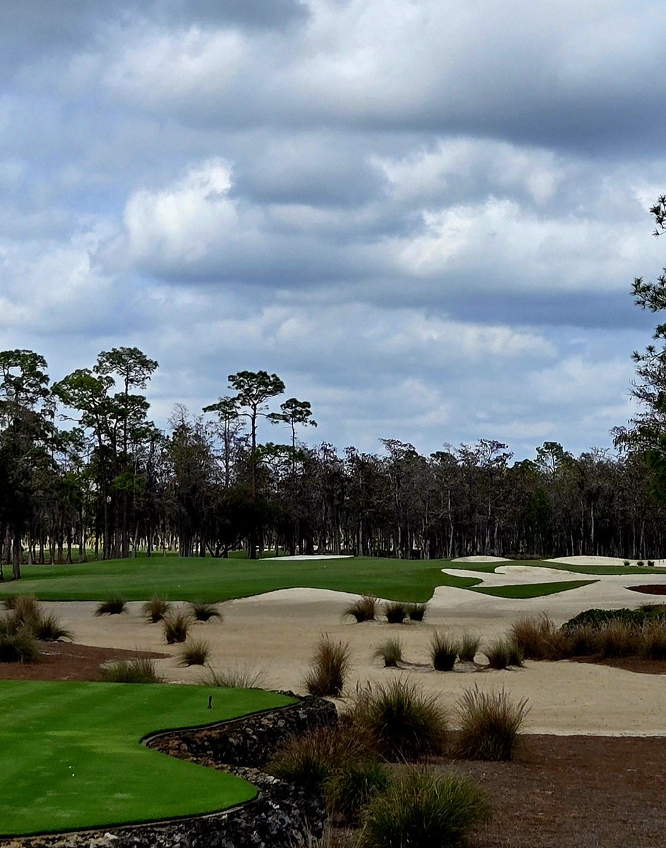 Ryan Carlyle tweet media