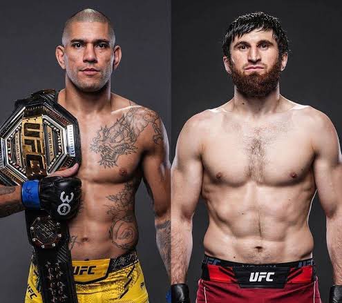 Dovy🔌 tweet media