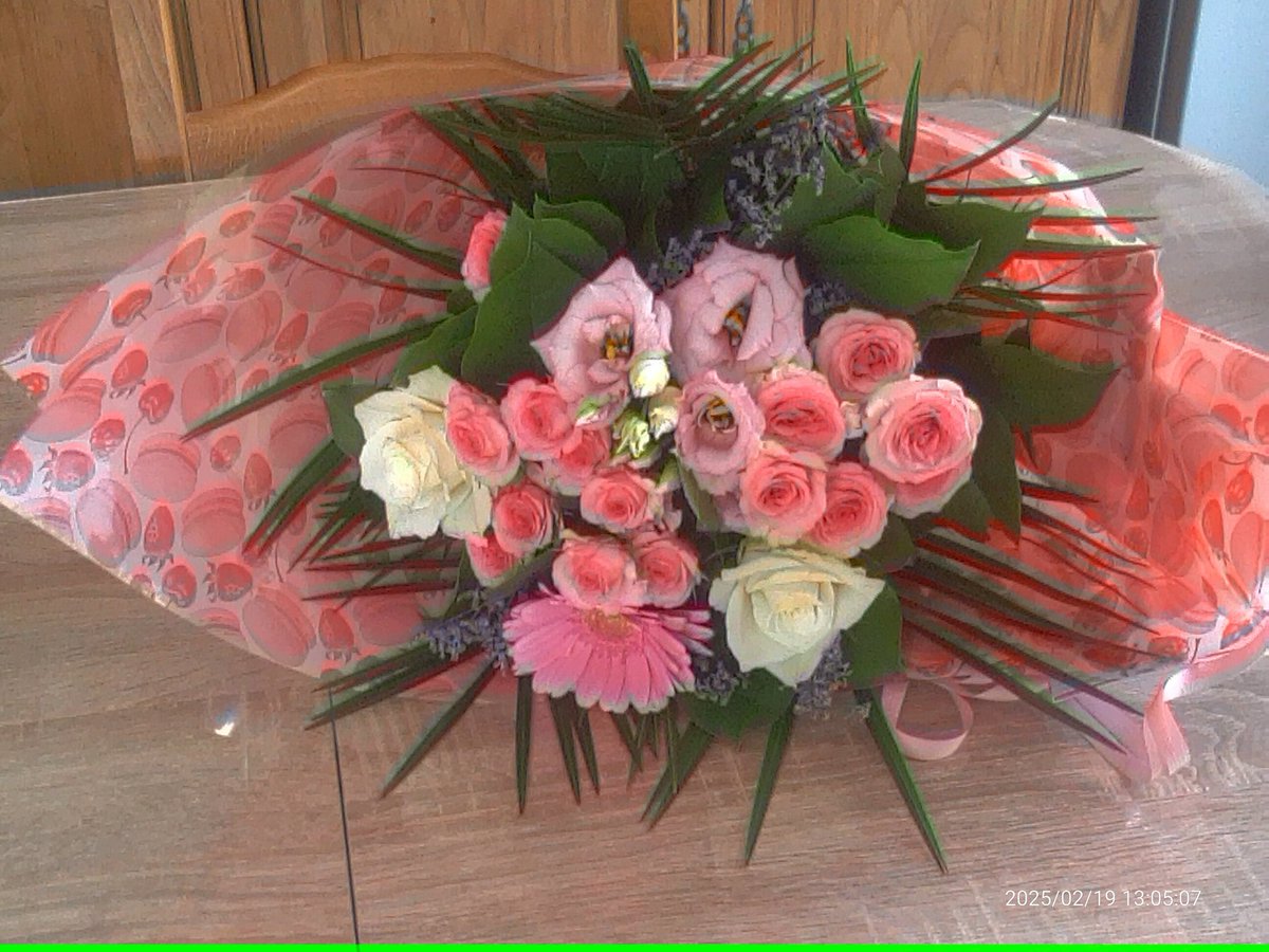GrisetteJe's tweet photo. Merci #teamsoutine ! Numaine était ému, quand, elle a vue le bouquet et le nounours. J'avais bien gardé le secret. https://t.co/63ULNksZ1C