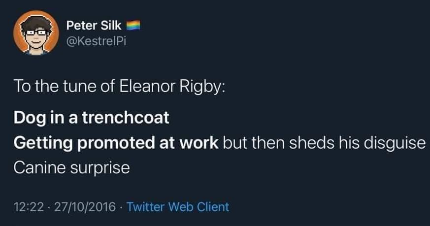 OscarWinning's tweet image. Do you have any songs you sing to your dogs? We&apos;re big fans of #puppysongs here. (THe dogs are a big fan of the CHeese Tax!) #BehaviorThatWInsRewards