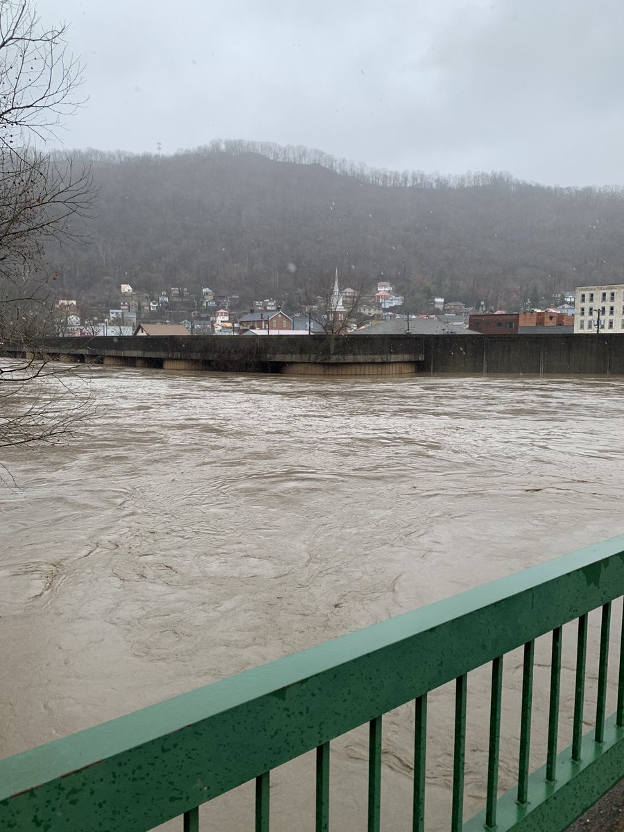 Tonya Webb tweet media