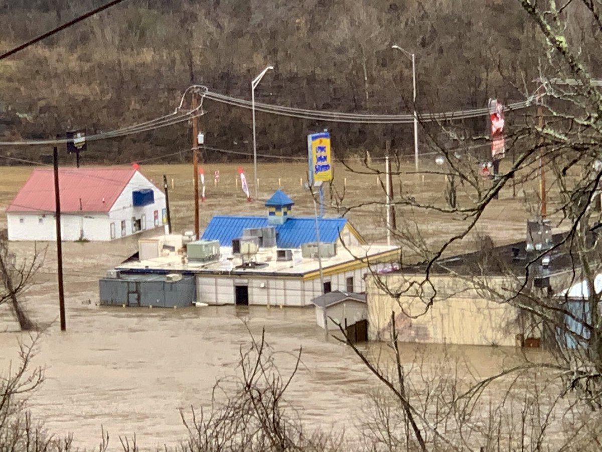 Tonya Webb tweet media