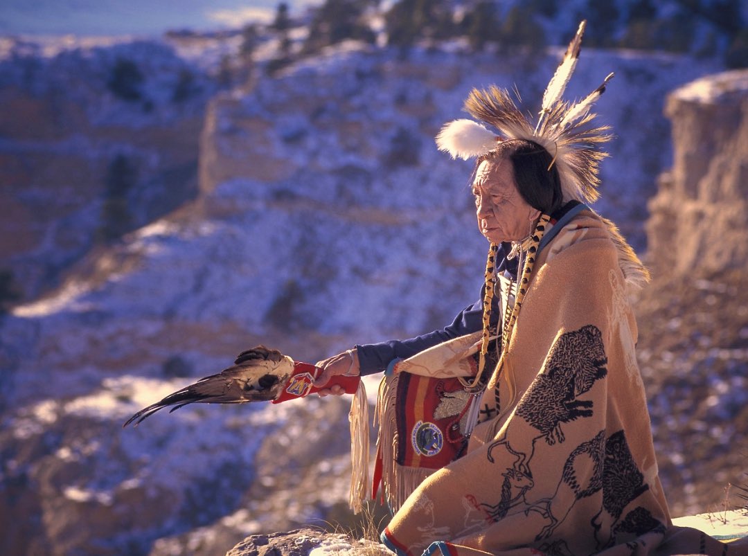 Native3rd's tweet image. “There is a road in the hearts of all of us, hidden and seldom traveled, which leads to an unknown, secret place! 

The old people came literally to love the soil &amp;amp; they sat or reclined on the ground with a feeling of being close to a mothering power.”

~ L. Standing Bear,…
