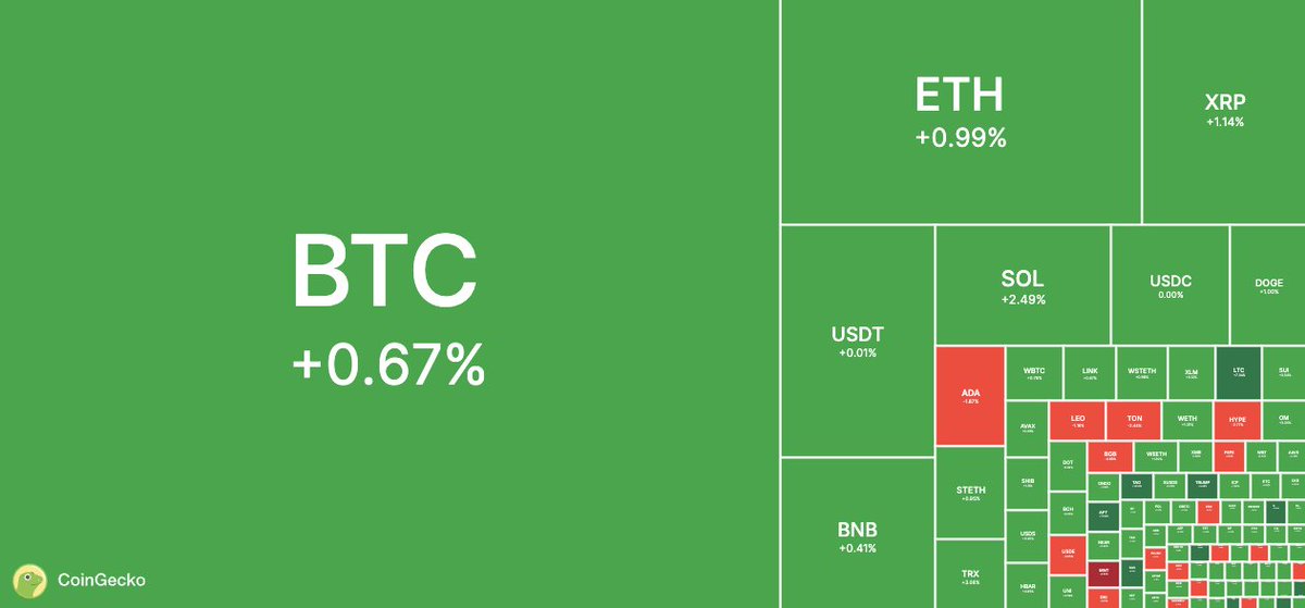 coingecko's tweet image. GM IN GREEN 🟢

Are you feeling bullish today?