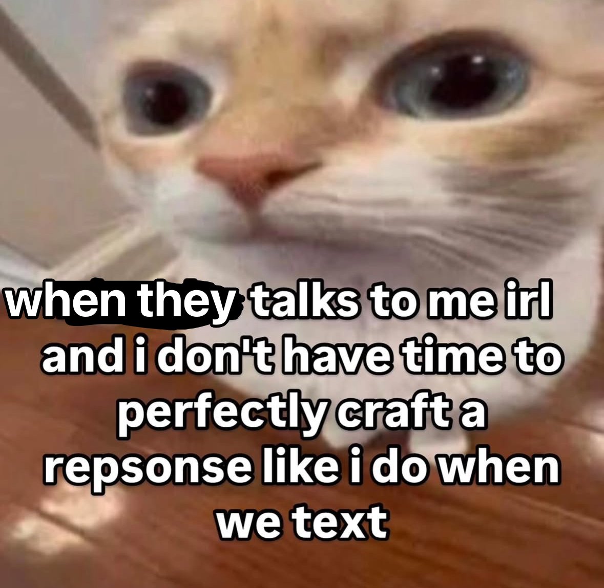 literallymecats's tweet image. 