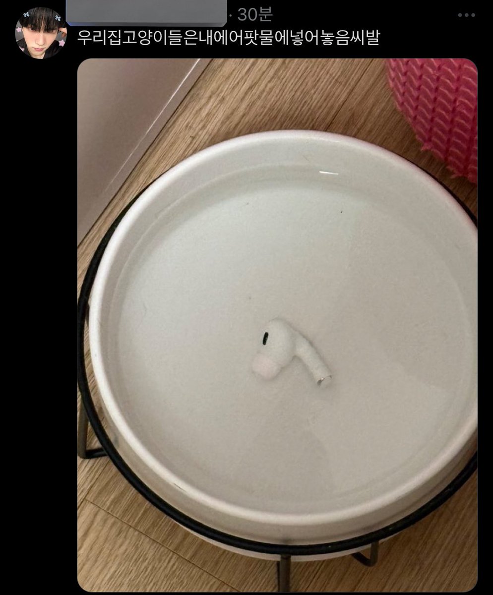 acupixz's tweet image. 존나웃김