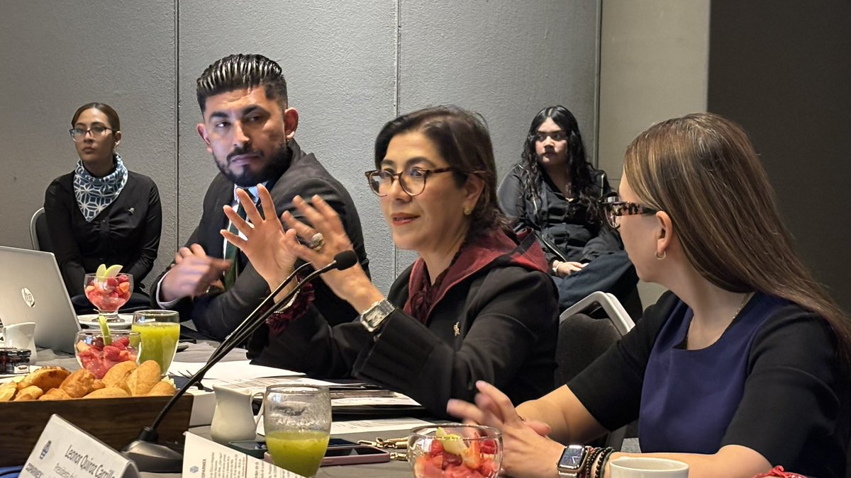 JosefinaRomanV's tweet photo. 📌Imparto la ponencia 'Después del INAI ¿Qué sigue? Retos para el sector privado durante y después de la transición del instituto', coordinado por la Comisión Nacional de Ética e Integridad de @Coparmex.
Presenta y preside @leonorquiroz. https://t.co/bUpxkZ8vna