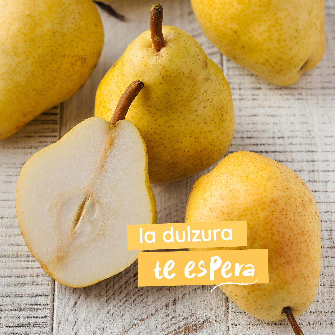 TropicalArg's tweet photo. Un break ideal lleva fruta, si es #PeraTropical mejor 😉 Dulzura e hidratación ¡para seguir a full! 🍐

#FrutaTropical #TropicalArgentina #Pera #Saludable #Rico https://t.co/8IwC6Mab5N