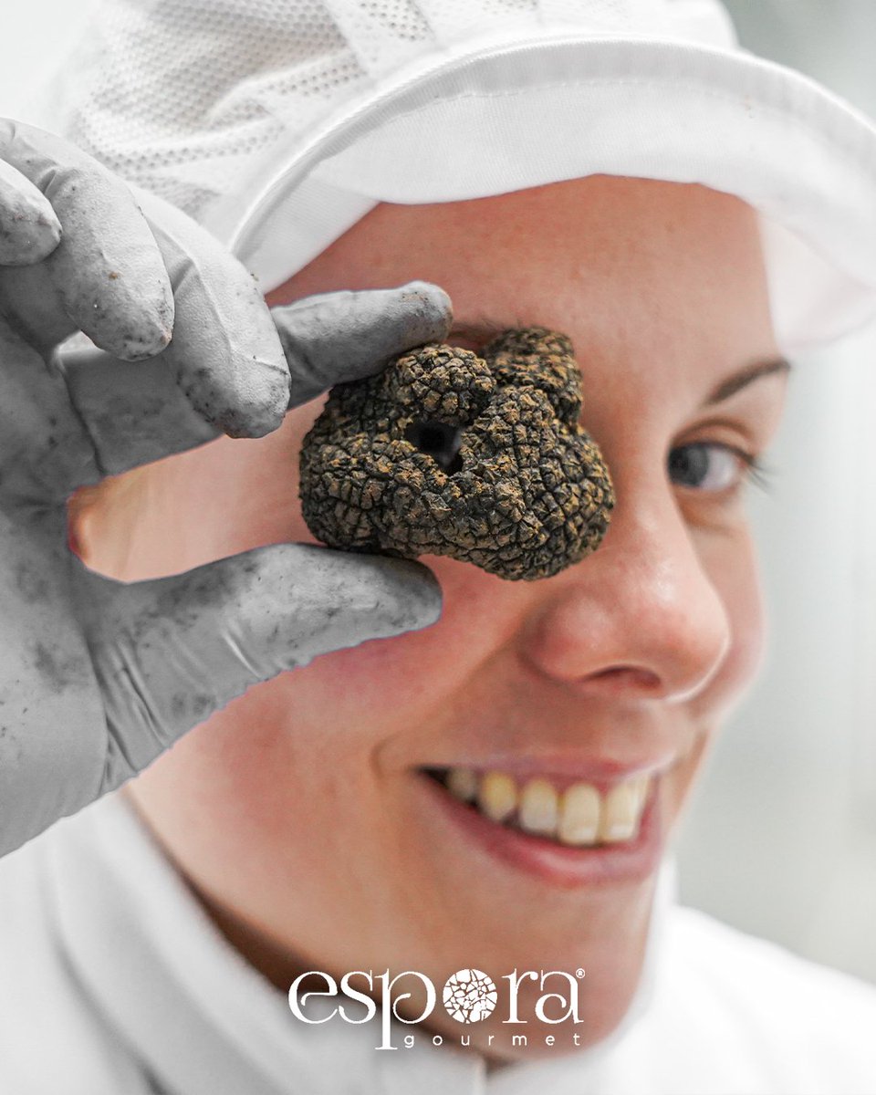 En nuestro equipo cuidamos cada detalle para que disfrutes de las mejores trufas. 🌿 Nuestros técnicos seleccionan una a una las trufas, asegurando máxima frescura y calidad.
#trufanegra #trufadeverano #Trufadeotoño #gastronomía #experienciagourmet #esporagourmet #selecciontrufa