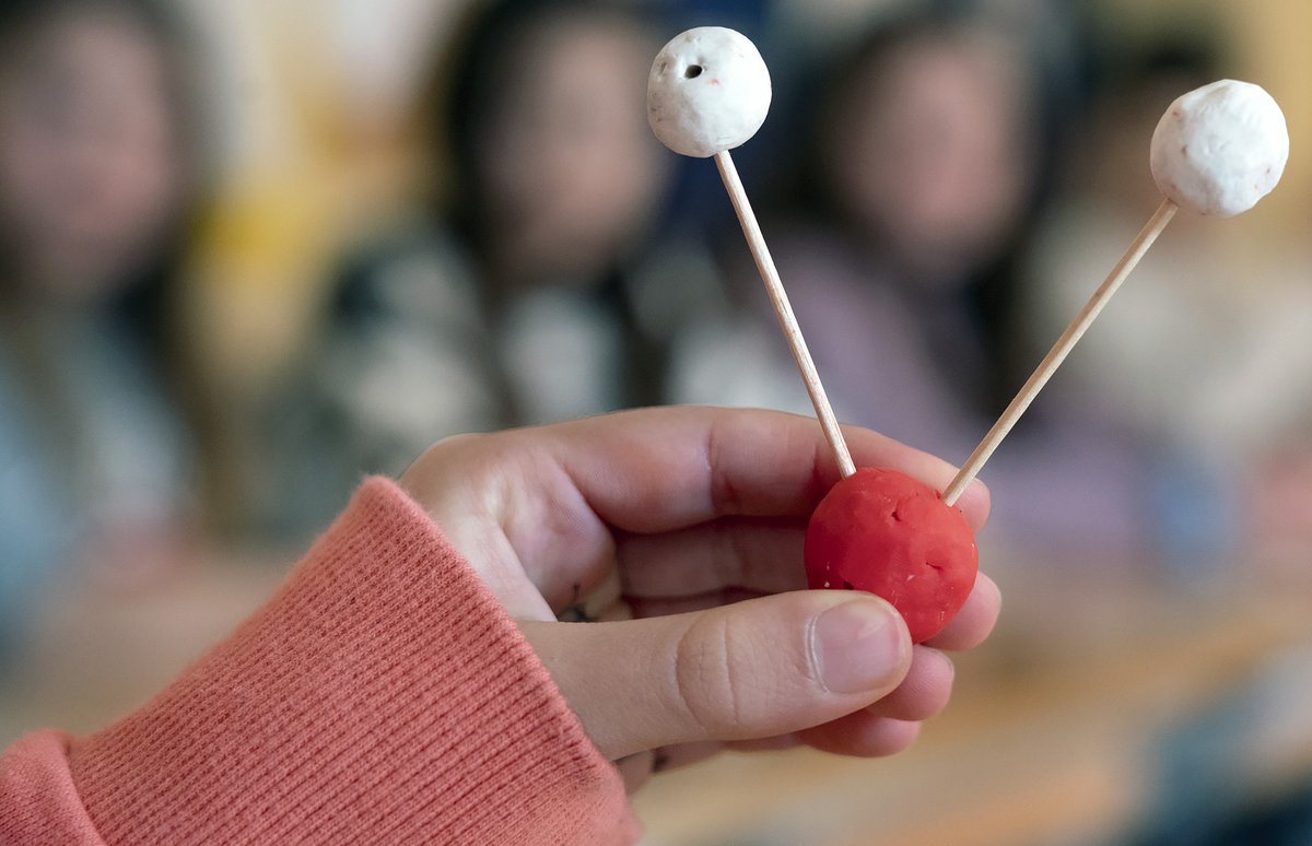 Zientzia unibertsitatetik atera eta eskolara bueltan da! UPV/EHUko Zientzia Zirkularra programaren helburua  da gazteen artean zientziarekiko jakinmina piztea eta bokazioak sustatzea, bereziki nesken  artean! 👩‍🔬🧬☄️👨‍🔬
ehu.eus/eu/web/campusa…
#G9SCIENCE4ALL