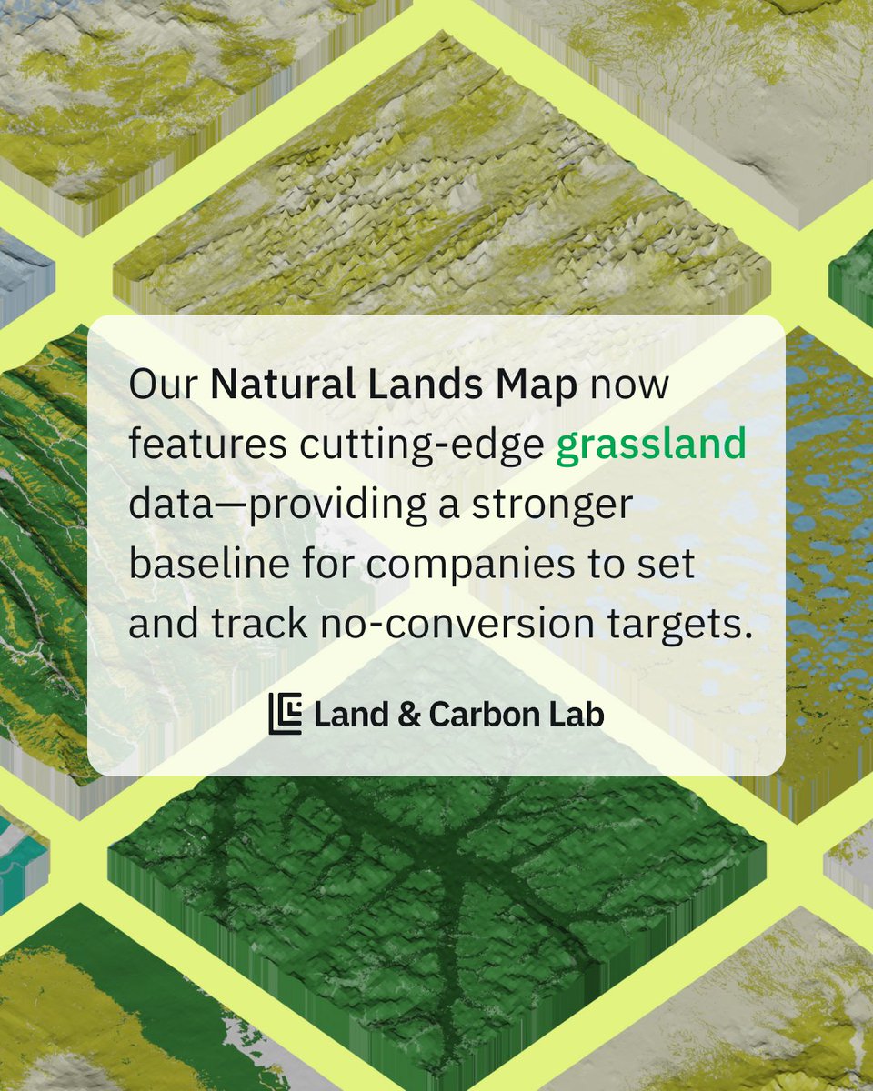 🚨 UPDATE: Version 1.1 of the Natural Lands Map now includes cutting-edge grassland data, filling a critical gap in how companies track their impact. 

➡️ Learn more: bit.ly/4k3jLEa 
➡️ Explore the data: bit.ly/4b6l6pv