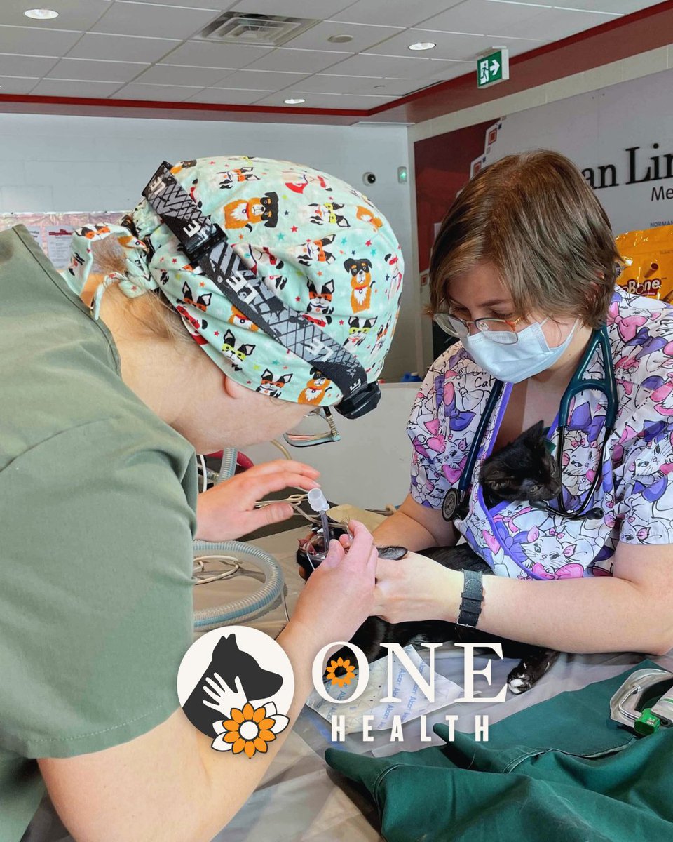 Winnipeg Humane Society tweet media