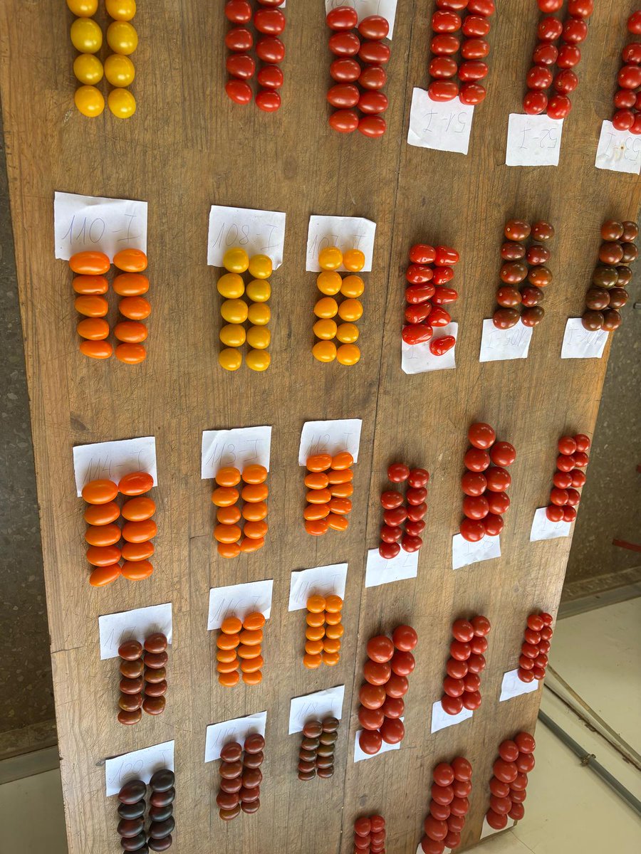 INIA-CSIC tweet media