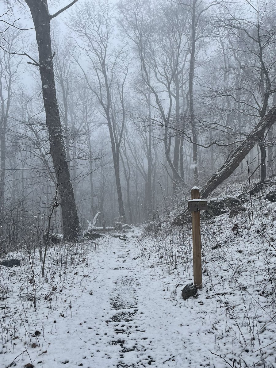 Austin_Huff59's tweet image. Heavy wet snow currently at Woody Gap, about 0.5” on the ground but quickly accumulating. 
@NWSAtlanta @BradNitzWSB