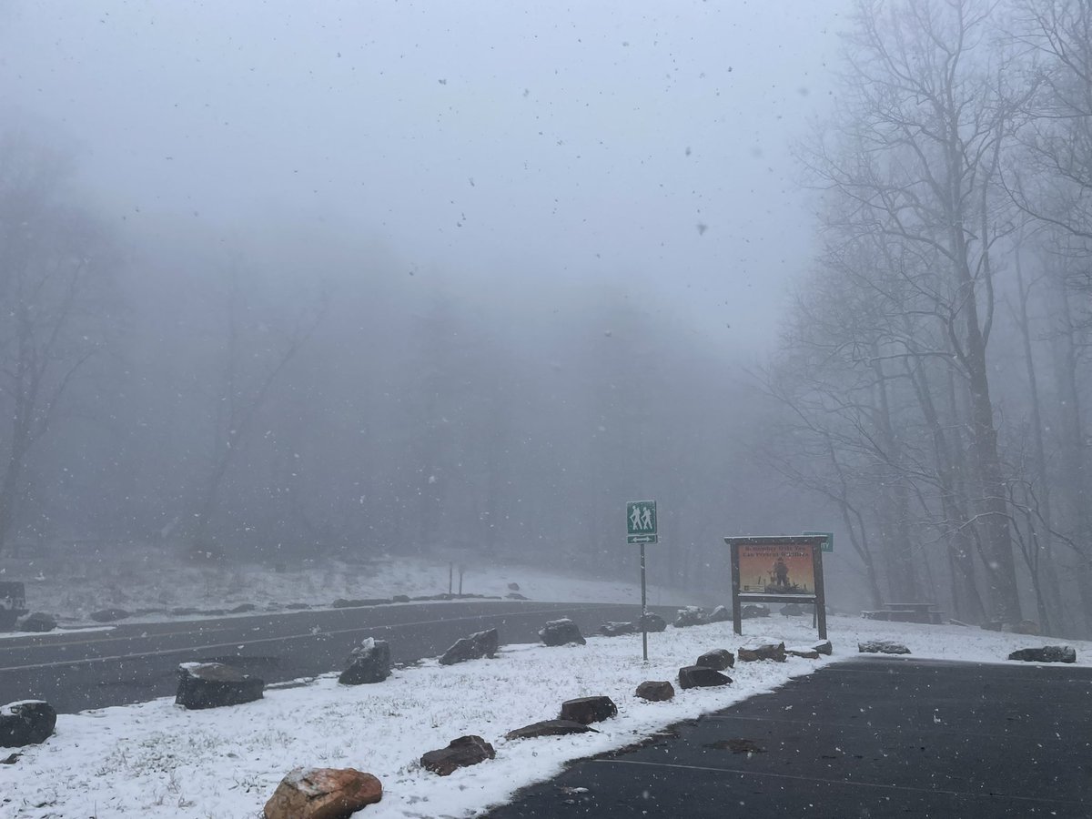 Austin_Huff59's tweet image. Heavy wet snow currently at Woody Gap, about 0.5” on the ground but quickly accumulating. 
@NWSAtlanta @BradNitzWSB