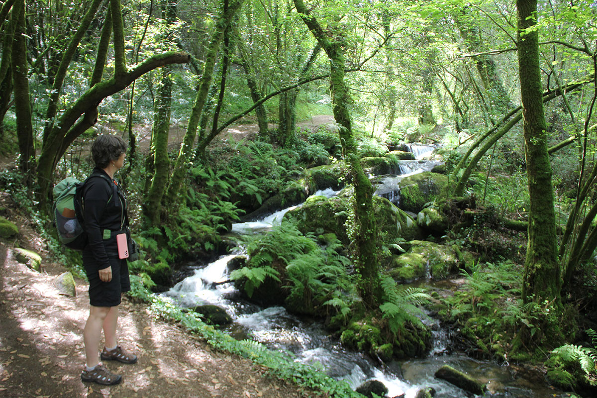 TheWayExp's tweet photo. ✨ Step Into a Journey of a Lifetime – Walk the Portuguese Camino! ✨

Looking for an unforgettable adventure? 🚶‍♀️🌿 Join our guided walking tour along the Portuguese Camino, an experience like no other.

📅 Limited spots available for our 2025 tour:
📍 5th – 11th October 2025 –⏳ https://t.co/9QjJ5K8VkS