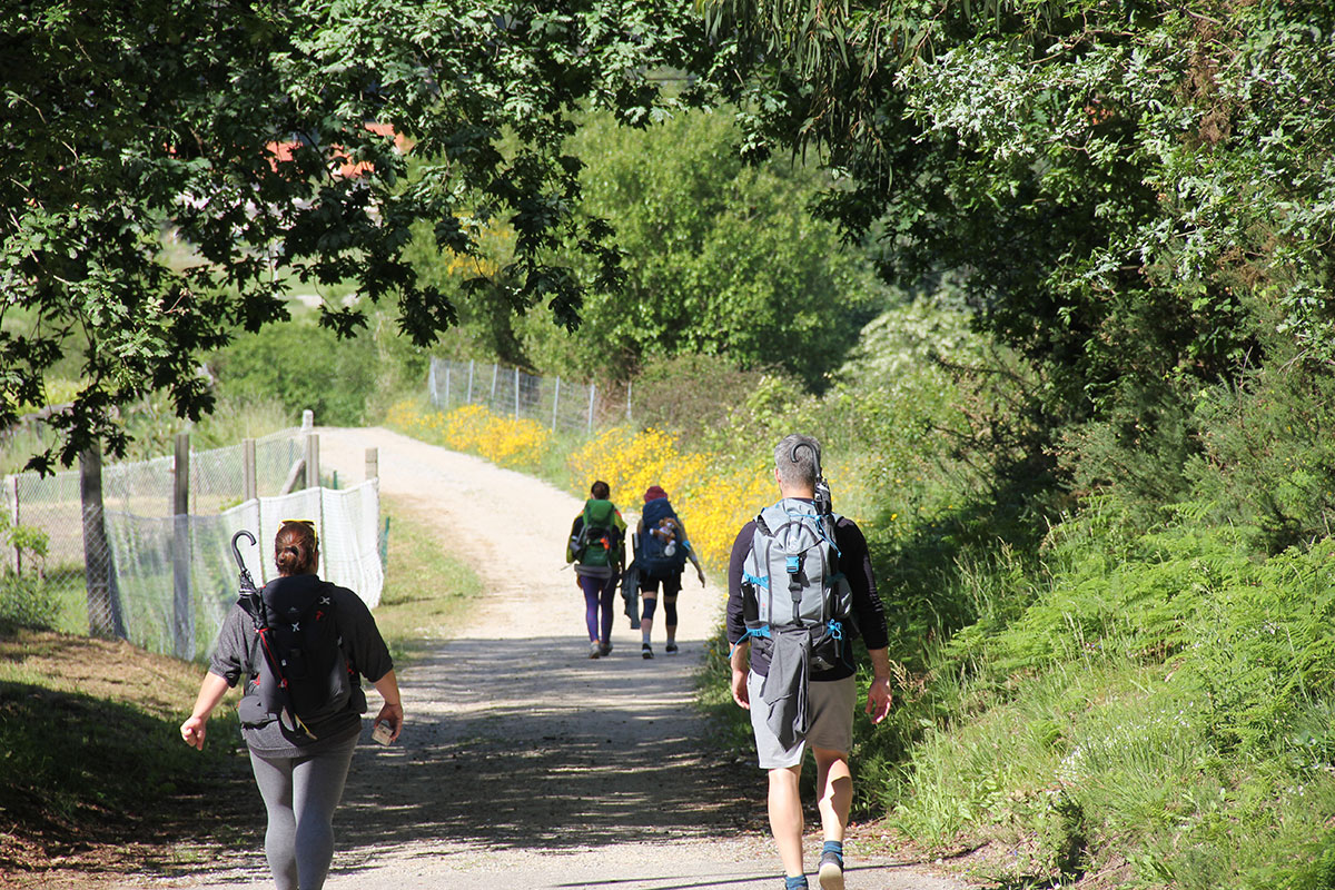 TheWayExp's tweet photo. ✨ Step Into a Journey of a Lifetime – Walk the Portuguese Camino! ✨

Looking for an unforgettable adventure? 🚶‍♀️🌿 Join our guided walking tour along the Portuguese Camino, an experience like no other.

📅 Limited spots available for our 2025 tour:
📍 5th – 11th October 2025 –⏳ https://t.co/9QjJ5K8VkS