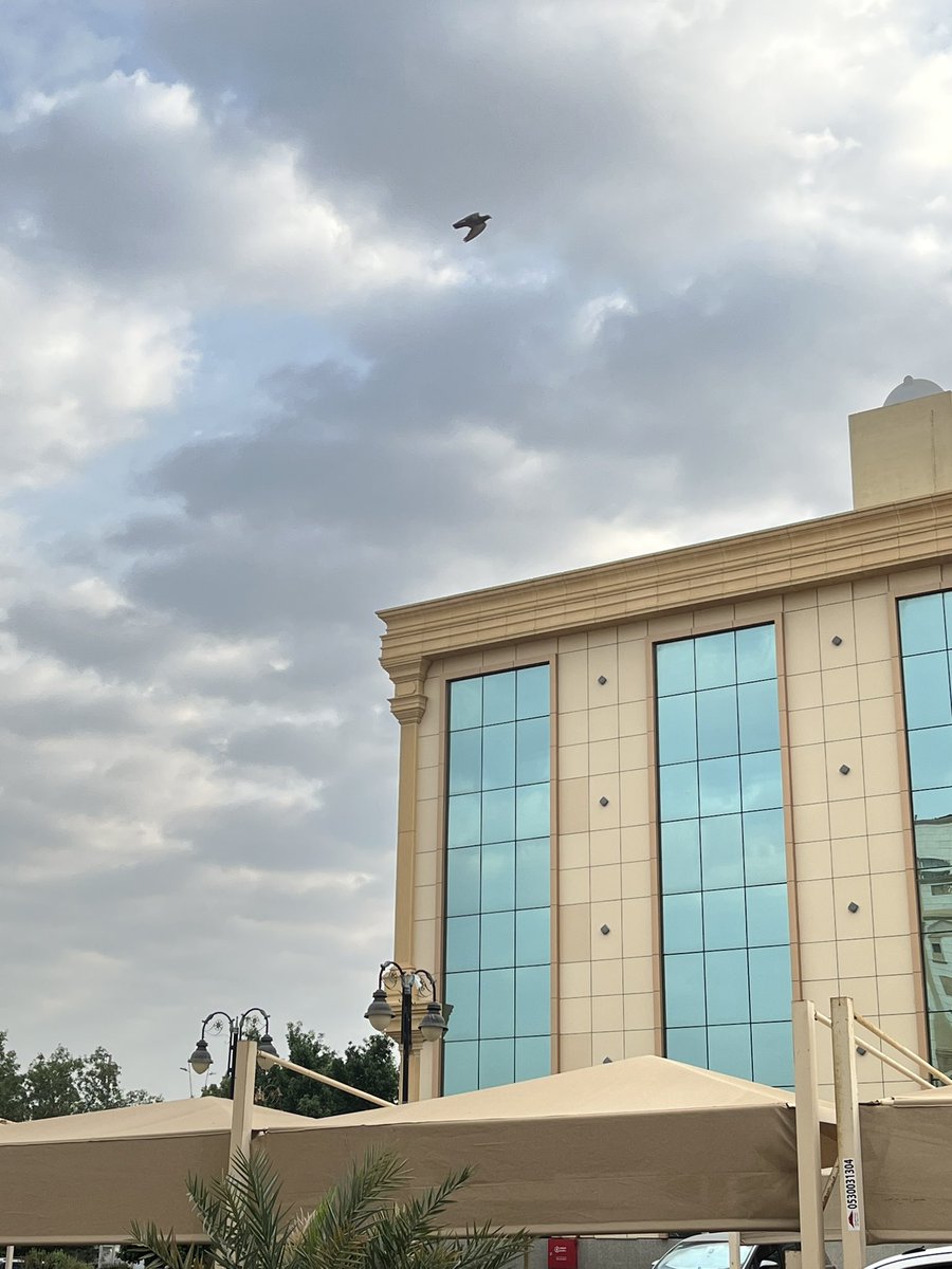 لَمار⚖️ tweet media
