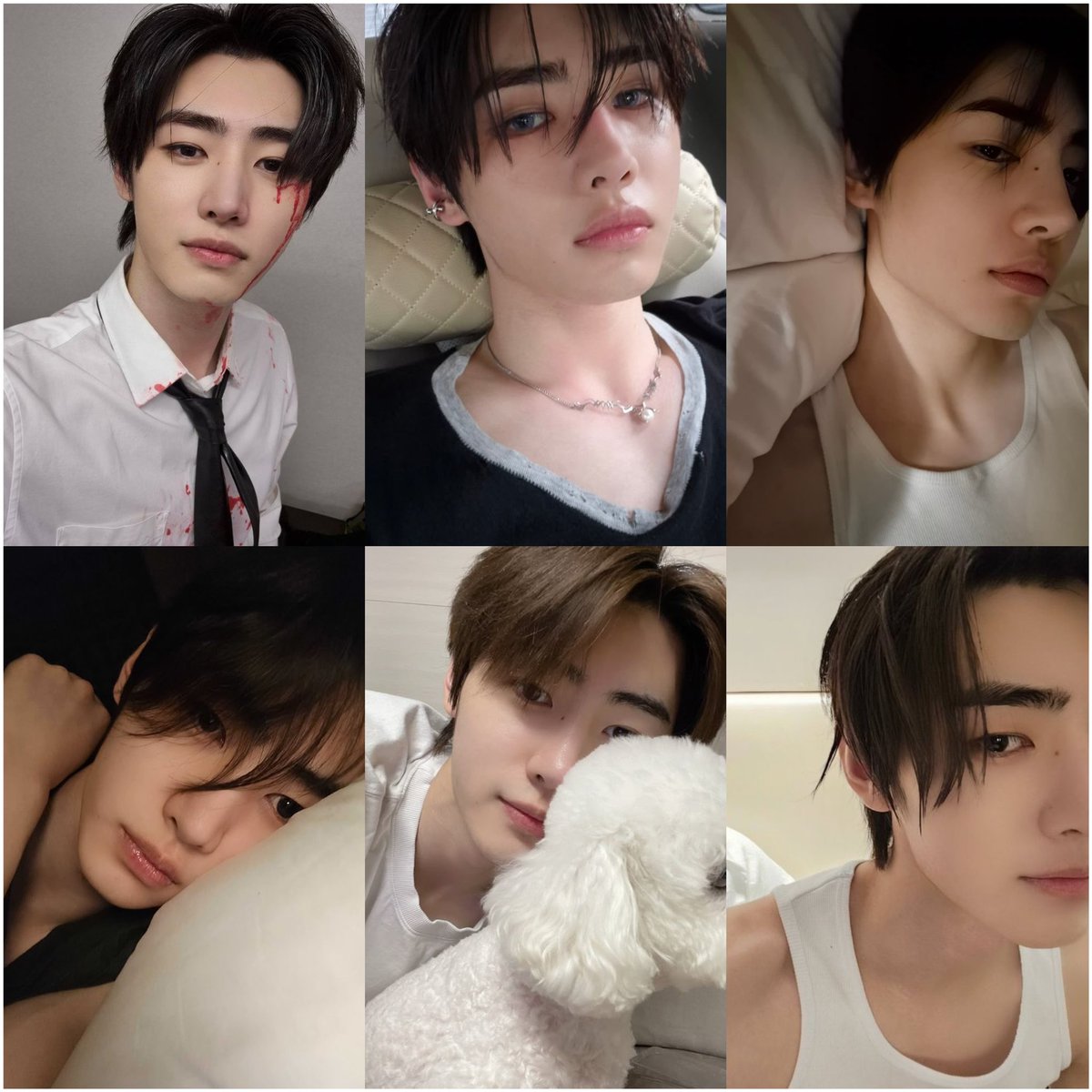 1130JPG's tweet image. “thank god you’re not a photocard” selcas