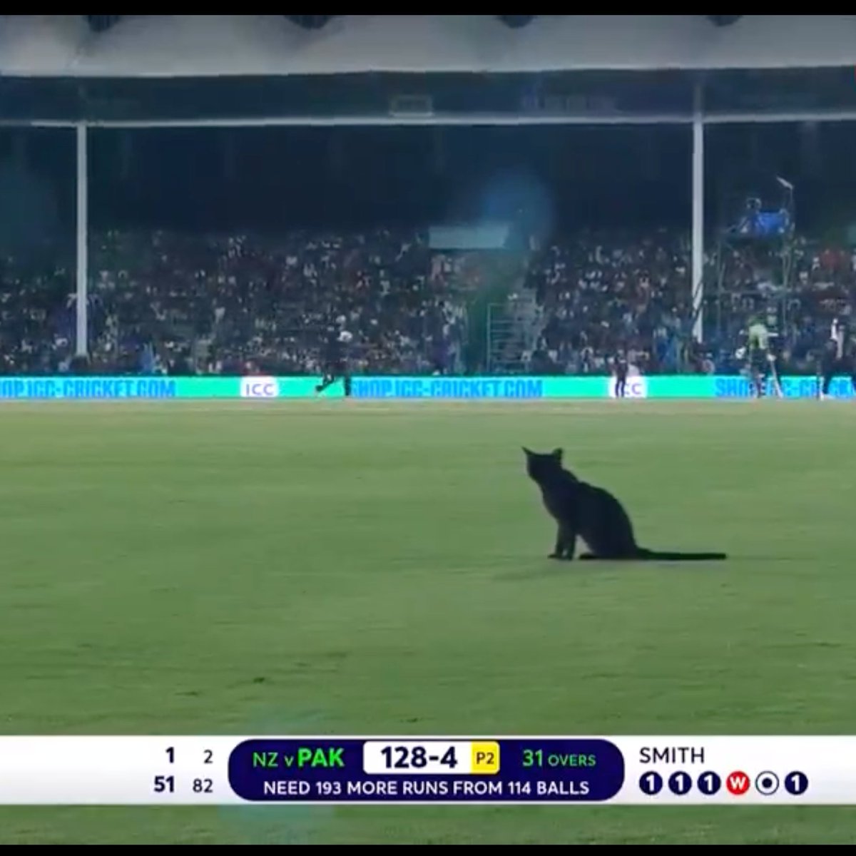 PctMeme's tweet photo. Haan bus Kali billi ka rasta katna reh gaya tha. https://t.co/ivbgrPqDfH